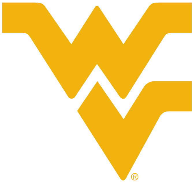 West Virginia Mountaineers 1980-Pres Alternate Logo v4 diy fabric transfer